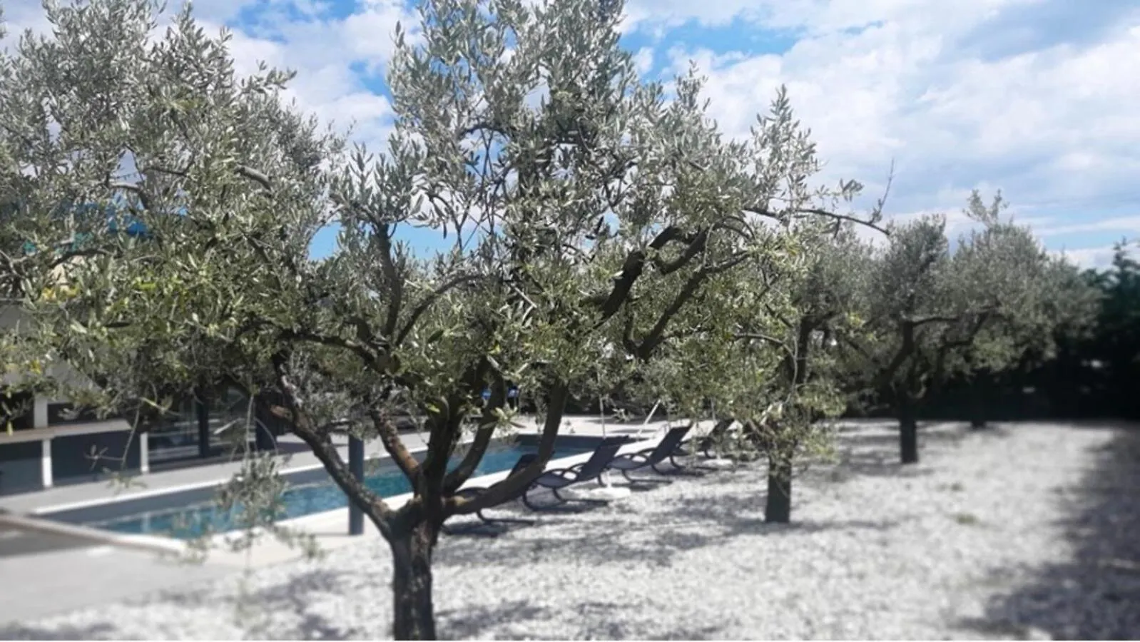 Villa Zara Near Porec For 8 Persons With Private Pool Visnjan Croatia